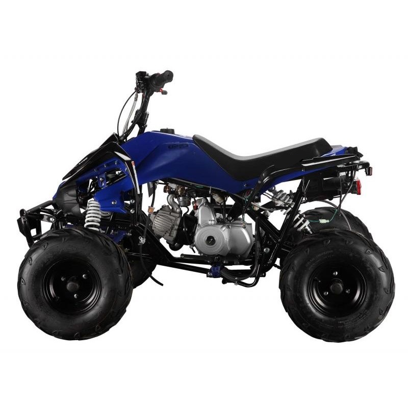 MYTS Smart Sports 125CC Quad ATV Bike Without Reverse For Kids -Blue