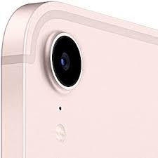New 2021 Apple iPad mini (8.3-inch, Wi-Fi + Cellular, 256GB) - Pink (6th Generation)